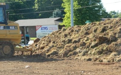 The Ground is Ready – click to see more!